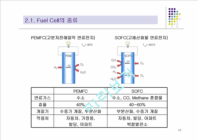 [자연과학] 연료전지   (10 )